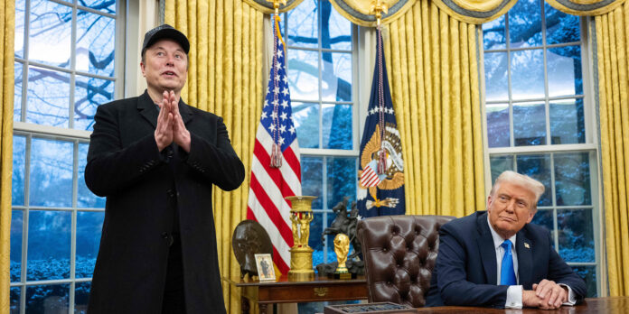trump und musk