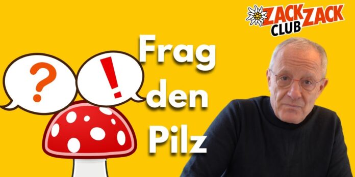 fdp1